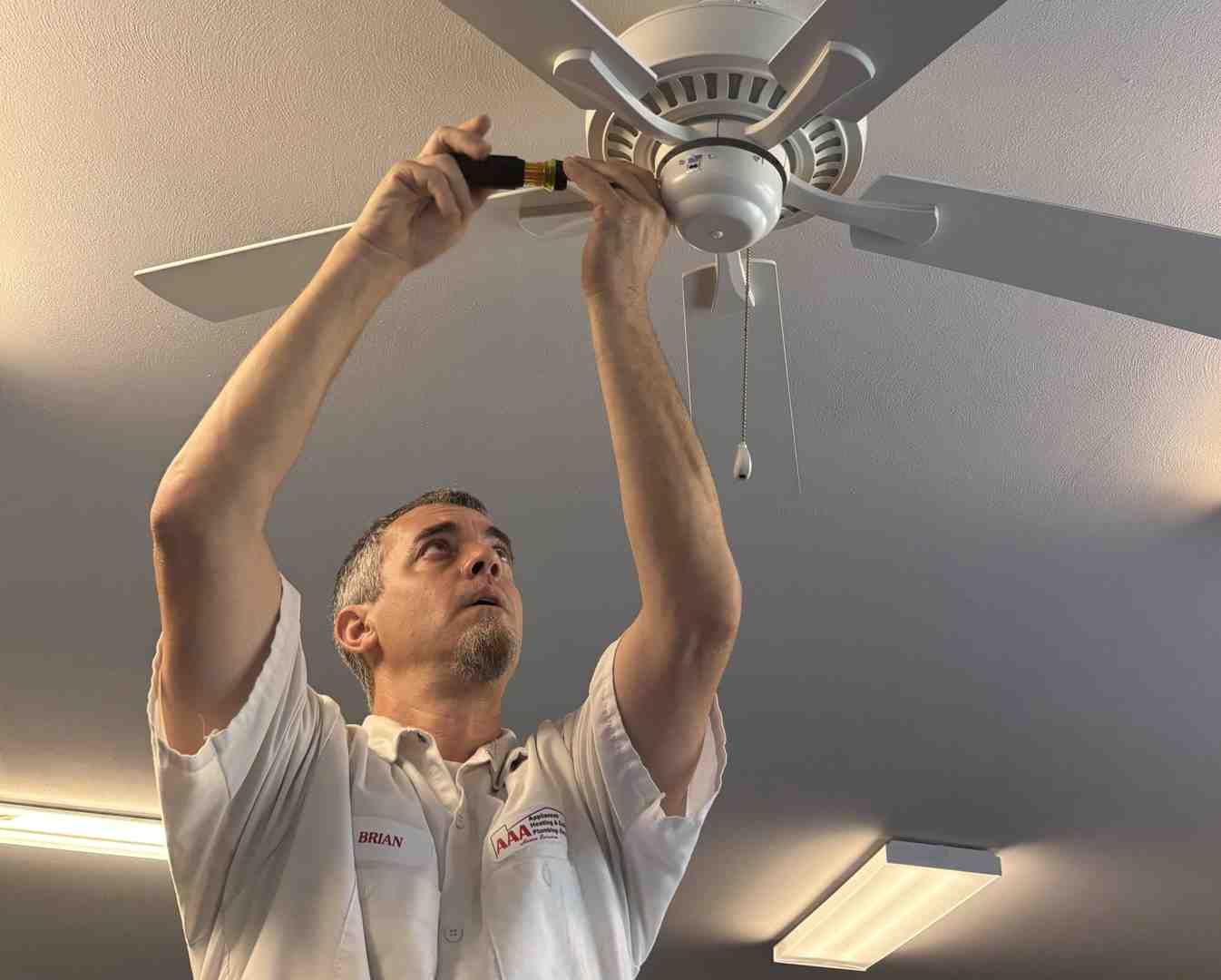 state electrical license badge - electrical repairs near me state electrical license badge - electrical repairs near me